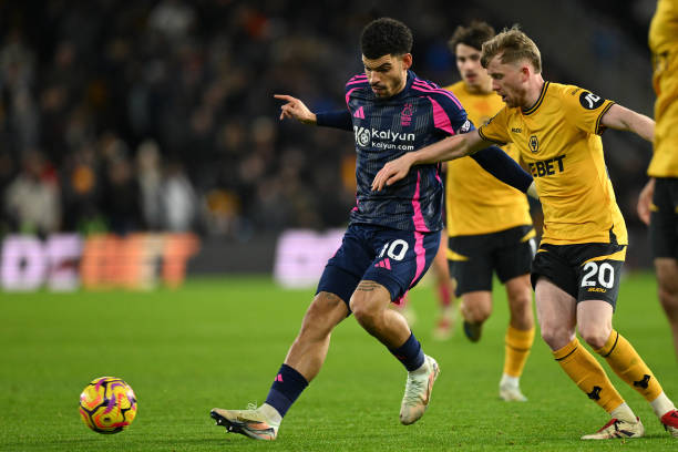 而非随波逐 而非随波逐